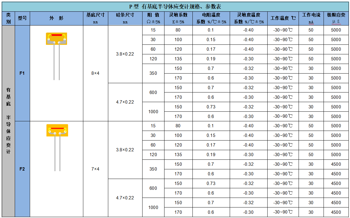 應(yīng)變計(jì)3.png